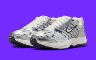 The Nike Air Peg 2k5 